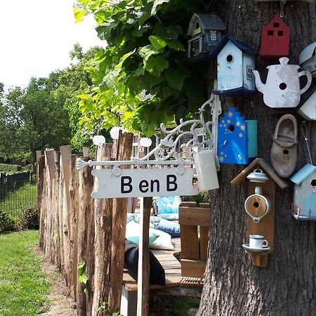 Gezond Boeren Verstand Dalerveen Exteriér fotografie