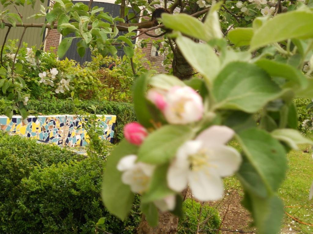 Gezond Boeren Verstand Dalerveen Exteriér fotografie