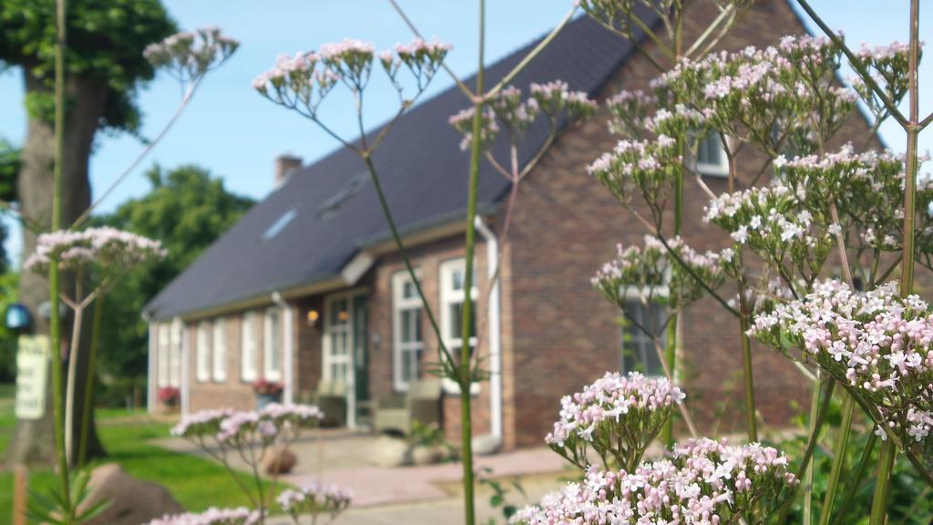Gezond Boeren Verstand Dalerveen Exteriér fotografie