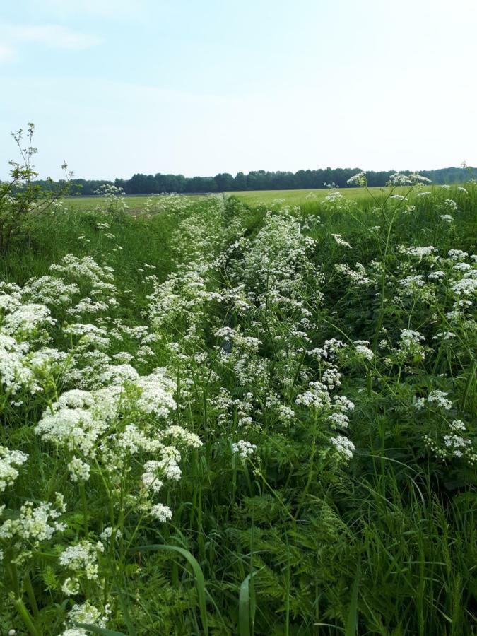Gezond Boeren Verstand Dalerveen Exteriér fotografie